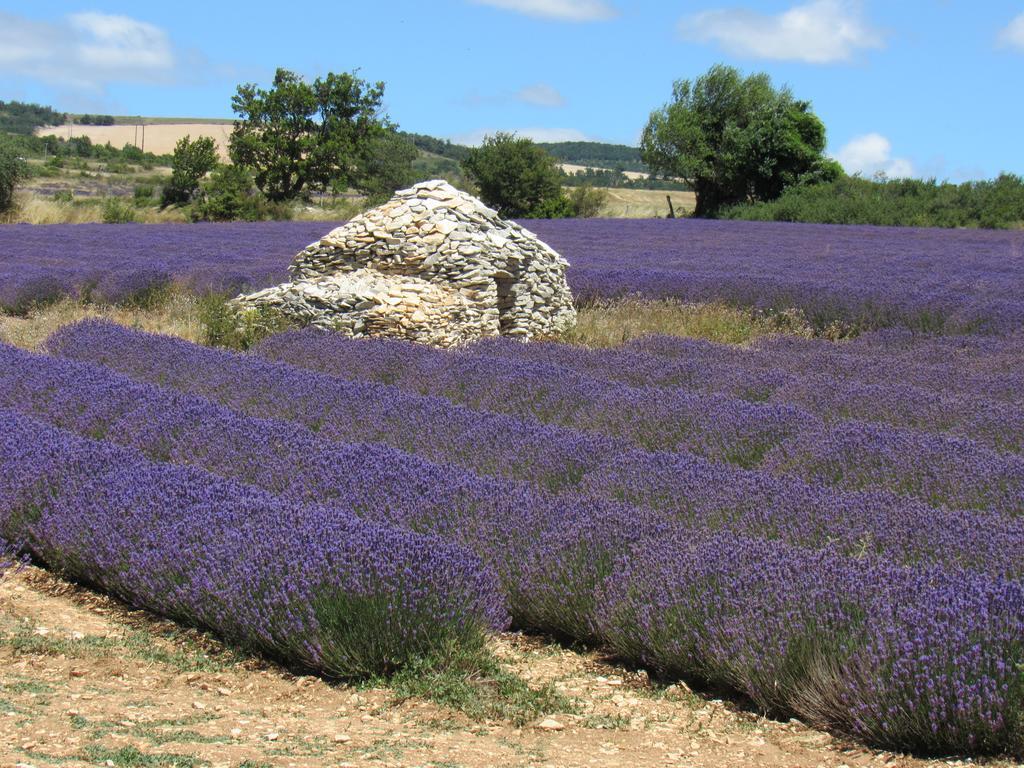 Residence De Gites La Sidoine Du Mont-Ventoux クリヨン・ル・ブラーヴ エクステリア 写真